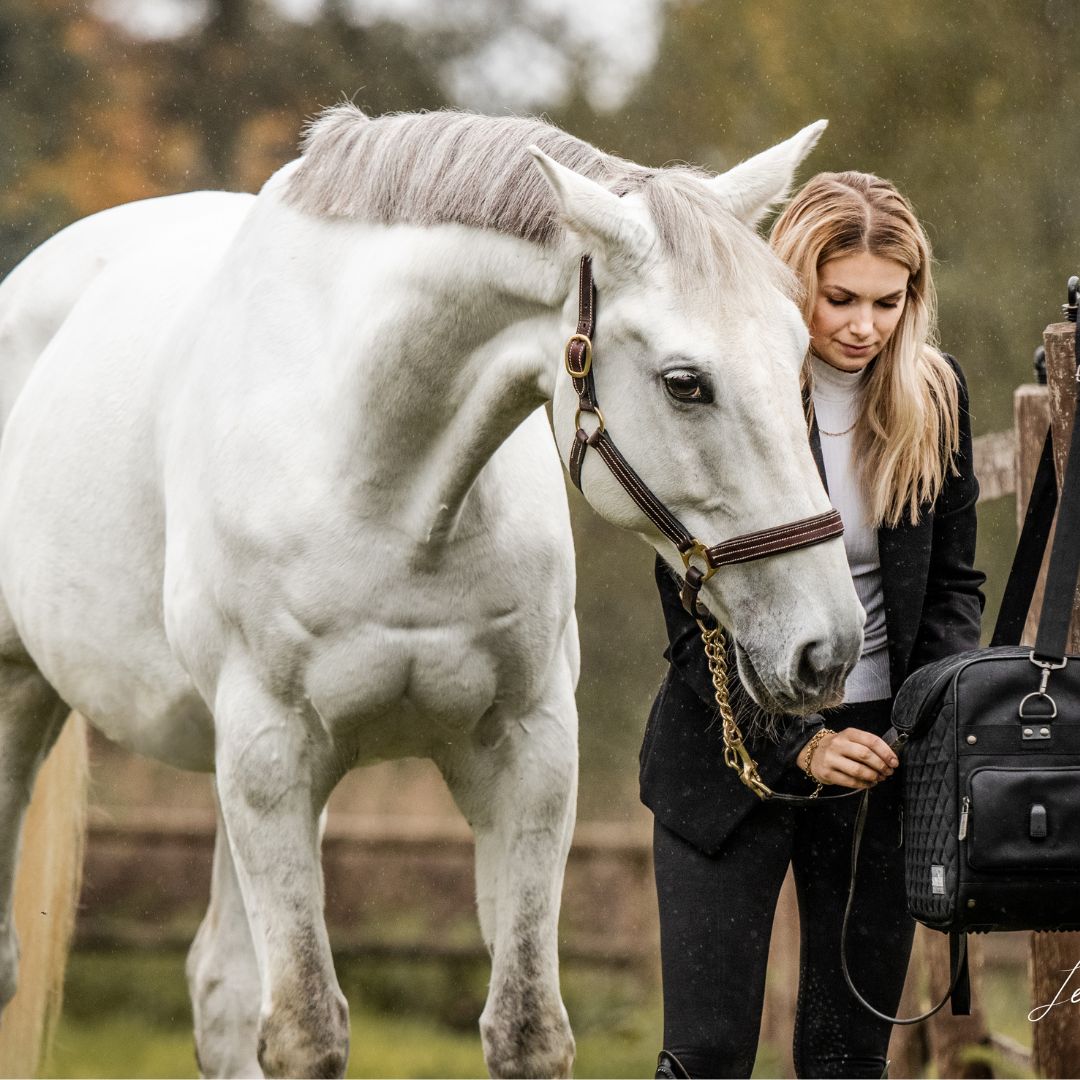 SOMÈHBAGS HORSES.jpg SOMÈHBAGS HORSES.jpg
